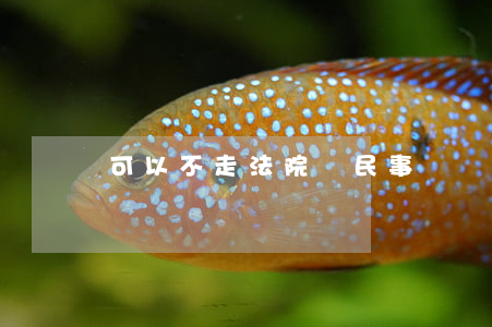 可以不走法院嗎(民事訴訟可以不去法院嗎)
