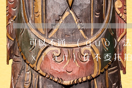 可以不通過(guò)法院拍賣嗎(法院現(xiàn)在不委托拍賣公司拍賣)