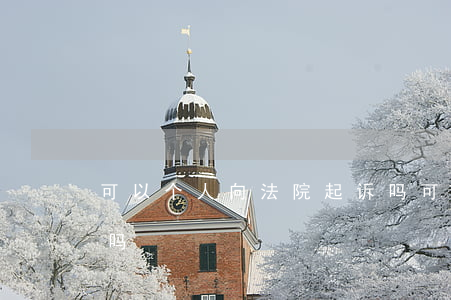可以个人向法院起诉吗(可以个人向法院起诉吗)