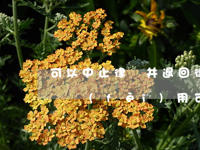 可以中止律師并退回律師費(fèi)嗎(律師費(fèi)用可以退還嗎)