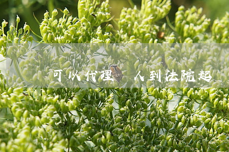 可以代理別人到法院起訴嗎(可以幫別人起訴嗎)