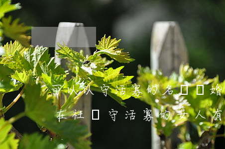 可以以守活寡的名義離婚嗎(現(xiàn)在社會守活寡的女人有可能離婚嗎?)