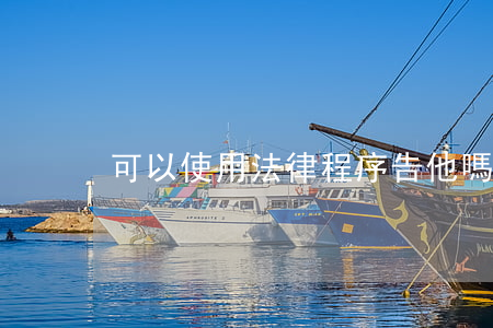 可以使用法律程序告他嗎(可不可以告法院)