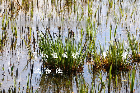 可以催促律師辦事嗎(律師事務(wù)所催款合法嗎)