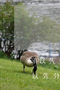 可以先分割財產(chǎn)后再離婚嗎(可以先分財產(chǎn)在離婚嗎?)