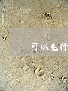 可以先行拘留的犯罪嫌疑人有哪些