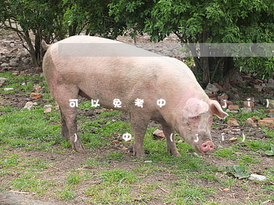 可以免考中級(jí)銀行的法規(guī)嗎(中級(jí)銀行從業(yè)資格考試免考條件)