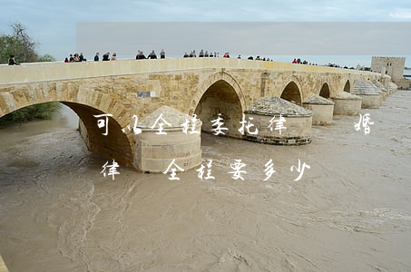 可以全程委托律師離婚嗎(訴訟離婚可以委托律師全程要多少錢)