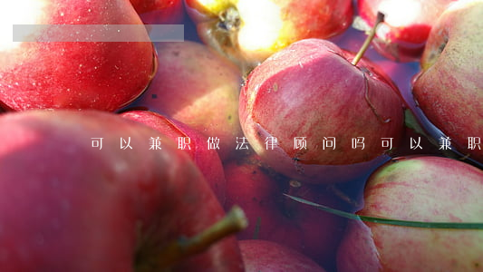 可以兼职做法律顾问吗(可以兼职律师吗)