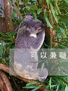 可以兼職做法律顧問嗎(可以兼職律師嗎)