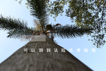 可以到到法院找律師嗎