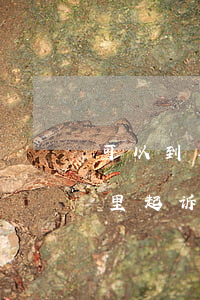 可以到县城法院起诉吗(县城的案件可以在市里起诉吗)