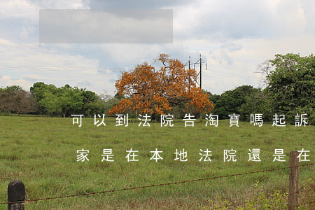可以到法院告淘寶嗎(起訴淘寶賣(mài)家,是在本地法院還是在萬(wàn)家所在地的法院)