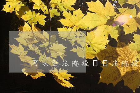 可以到法院投訴嗎(法院投訴電話有用嗎)