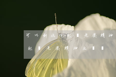 可以到法院起訴老婆精神出軌嗎(可以到法院起訴老婆精神出軌嗎)