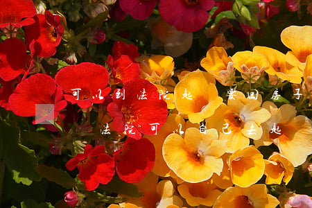 可以到法院起訴要回房子維權(quán)嗎(法院可以自己去起訴嗎)
