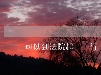 可以到法院起訴銀行嗎(起訴銀行怎么起訴)