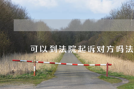 可以到法院起诉对方吗(法院可以起诉法院吗)