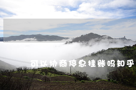 可以协商停息挂账吗知乎-