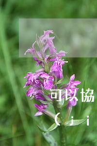 可以協(xié)商分期還款然后解除凍結(jié)嗎-可以協(xié)商分期還款然后解除凍結(jié)嗎