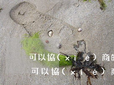 可以協(xié)商的網(wǎng)貸-可以協(xié)商還款的網(wǎng)貸