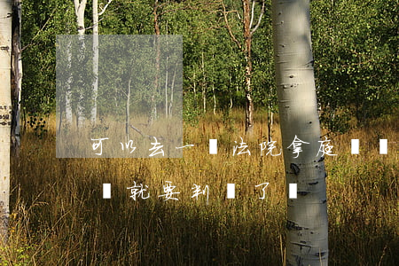 可以去一審法院拿庭審筆錄嗎(開庭后簽了筆錄就要判決了嗎)