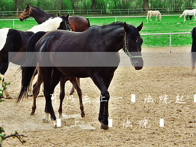 可以去上一級法院起訴嗎(民事上訴可以直接給上一級法院嗎)