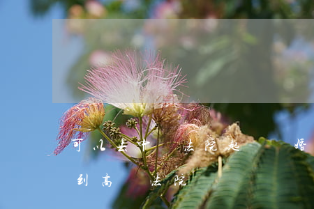 可以去中級法院起訴離婚嗎(離婚案可以上訴到高級法院嗎)