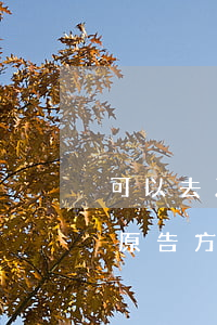 可以去乙方所在地法院起诉吗(民事诉讼能在原告方所在地法院起诉吗?)