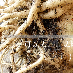 可以去二審法院印復(fù)印件嗎(法院起訴復(fù)印件有效嗎)