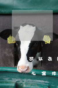 可以去刑偵大隊(duì)查違法記錄嗎(什么案件可以找刑偵大隊(duì))