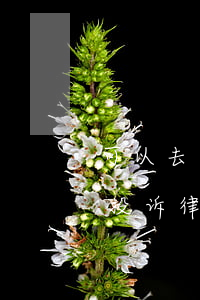 可以去司法局投诉法院吗(到司法局哪个部门投诉律师)
