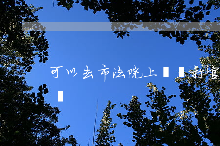 可以去市法院上訴嗎(打官司最高能上訴到哪兒)