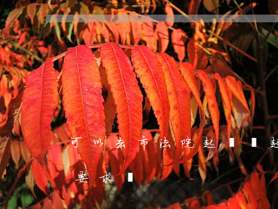 可以去市法院起訴嗎(起訴在什么地方法院有要求嗎)