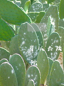 可以去政法委投訴法院嗎(到什么地方投訴法院)