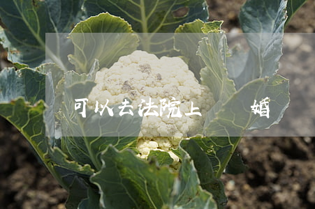 可以去法院上訴離婚嗎(離婚可以上訴么)