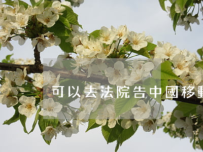 可以去法院告中國移動嗎(如何告中國移動)