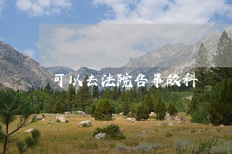 可以去法院告事故科嗎