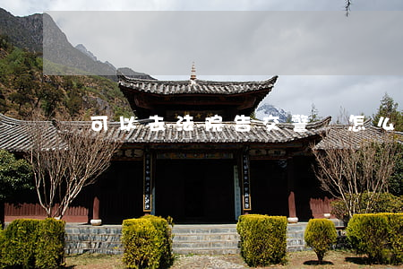 可以去法院告交警嗎(怎么告交警)