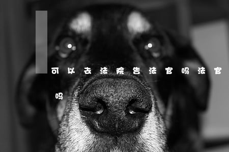 可以去法院告法官吗(法官可以和被告打电话吗)