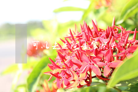 可以去法院告警察失職嗎(法院有警察嗎)