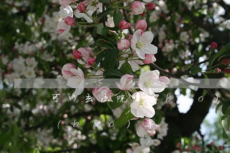 可以去法院報(bào)警嗎(怎么去法院報(bào)案)