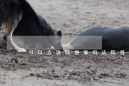 可以去法院备案吗(法院备案就是立案)