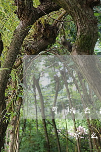 可以去法院寫欠條嗎(欠條可以寫好了讓對方簽字么)