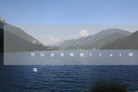 可以去法院復(fù)印原告證據(jù)嗎