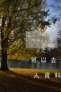 可以去法院復(fù)印當(dāng)事人資料嗎(個人可不可以到法院復(fù)印資料)