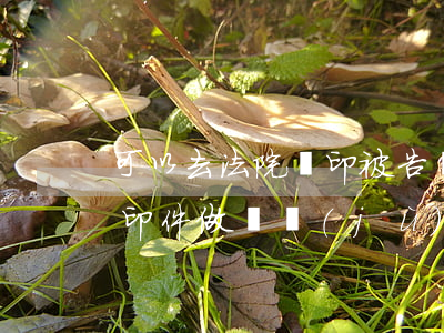 可以去法院復印被告證據(jù)嗎(起訴復印件做證據(jù)有效)