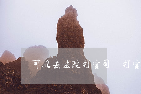 可以去法院打官司嗎(打官司可以告法官嗎?)