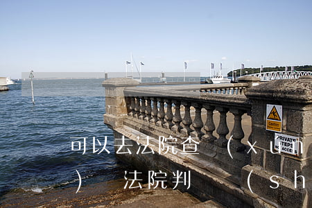 可以去法院查詢(xún)判決書(shū)嗎(法院判決書(shū)哪兒可以查到)
