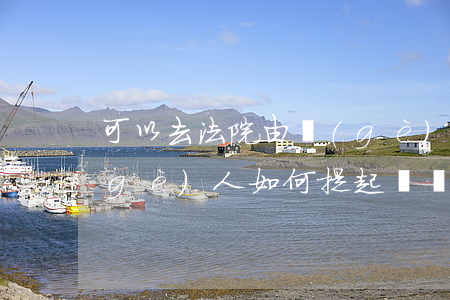 可以去法院由個(gè)人提起訴訟嗎(個(gè)人如何提起訴訟)